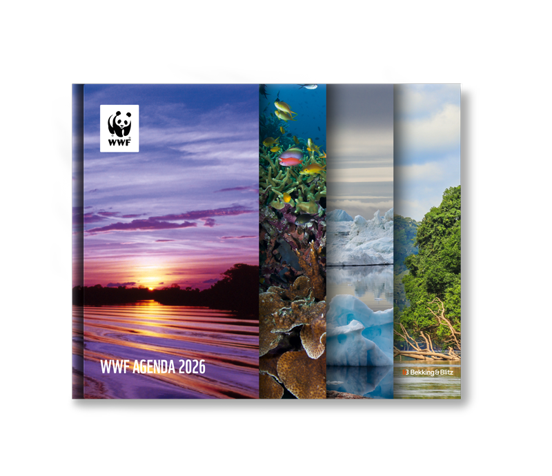 WWF Jaaragenda 2026